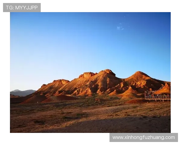 未来九游地址平台的发展方向与技术创新展望